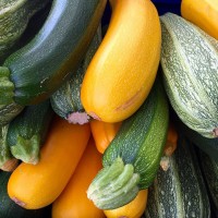 Vegetables Vegetables